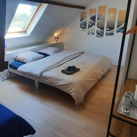 Chambres D'Hotes Domaine La Touche 普莱讷富热尔 外观 照片