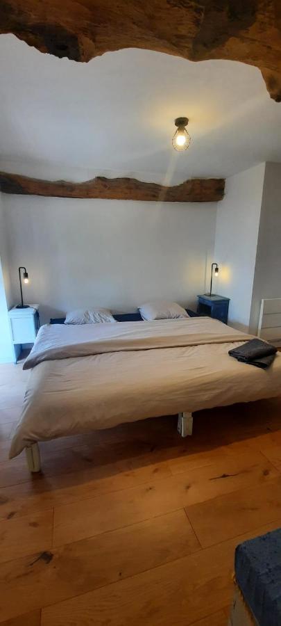 Chambres D'Hotes Domaine La Touche 普莱讷富热尔 外观 照片